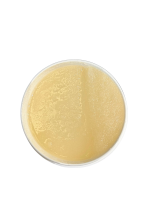 L'Alchimia del Sale – Mango e Passion Fruit, detergente esfoliante idratante - immagine 3